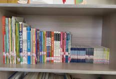 星火“卫”来 | 团市委、市少工委开展点亮社区少先队图书角活动