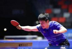 樊振东王楚钦打扁比赛用球