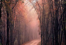 2025年第(dì)31届亚洲棒球(qiú)锦标赛落幕(mù) 中国队获第(dì)四