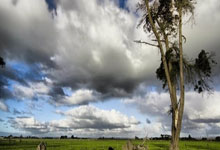 中国建设银行申请开源组件版本更新方法专利，提升版本升级效率