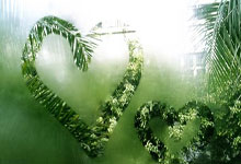 林区小学乒乓球比赛火热开赛