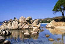 2025年第(dì)31届亚洲棒球(qiú)锦标赛落幕(mù) 中国队获第(dì)四