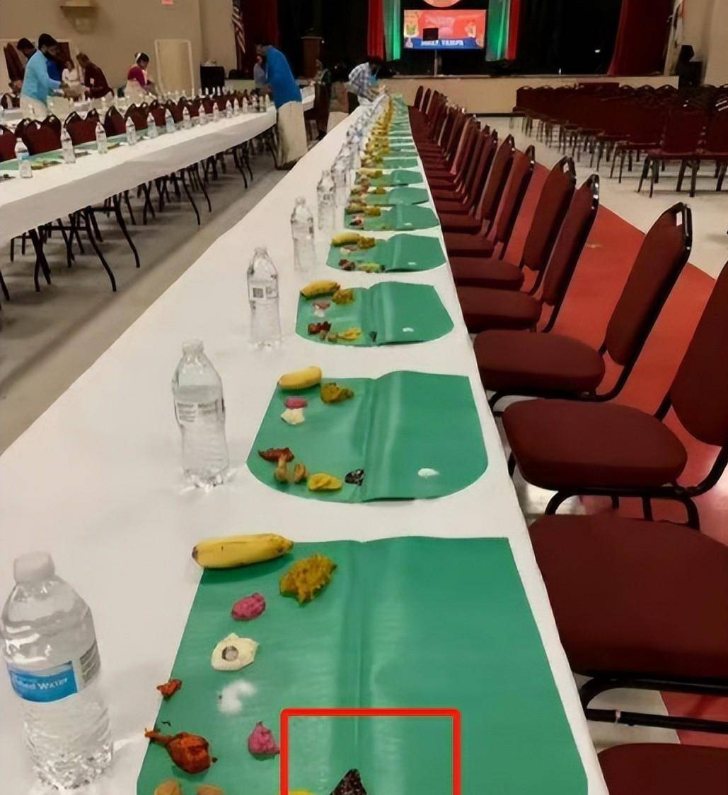 乒乓球(qiú)亚锦赛变荒野求生比赛场地惊現(xiàn)青蛙？現(xiàn)场環(huán)境(jìng)令人担忧