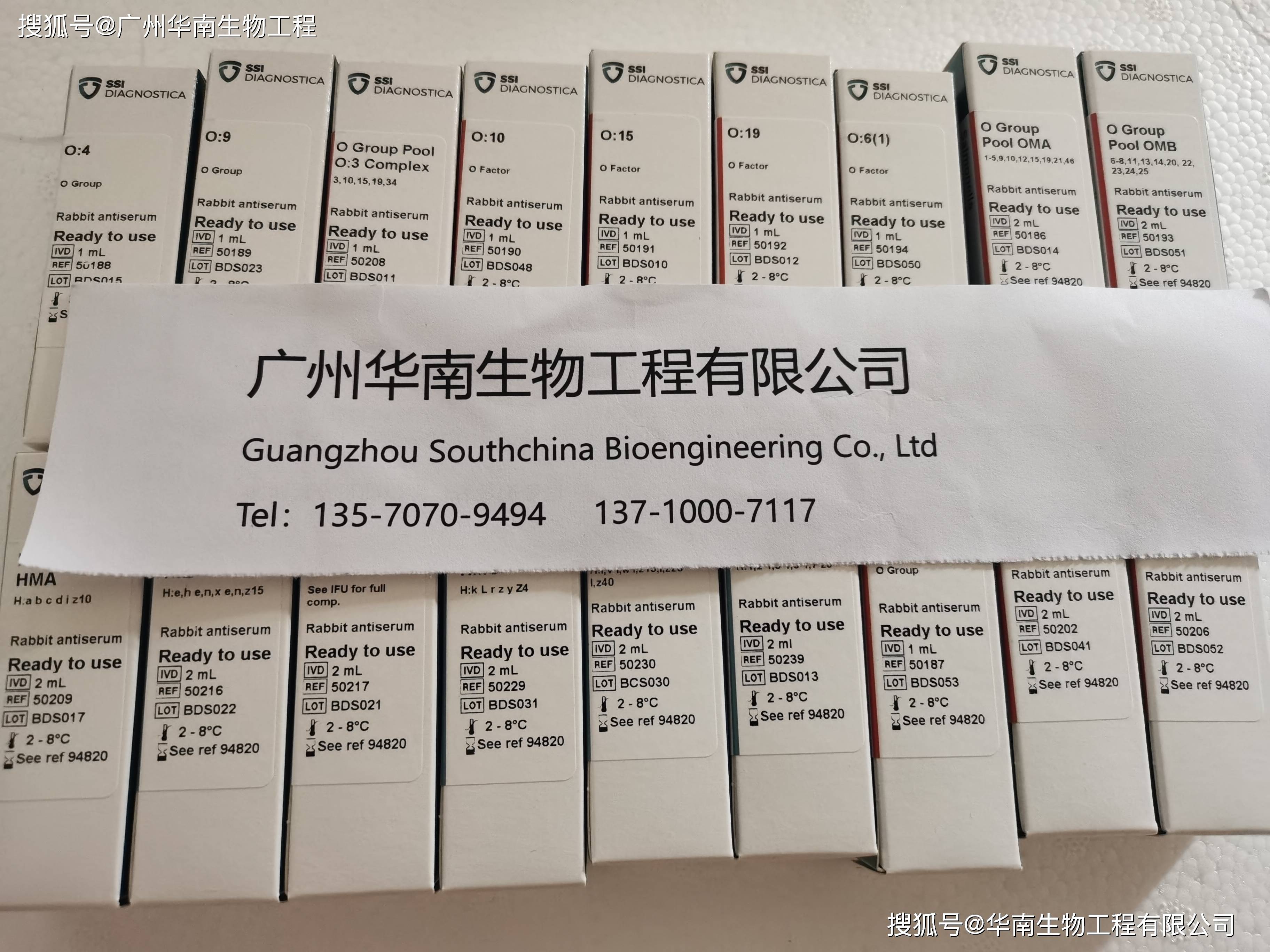 丹(dān)麦ssi中国官网中文(wén)版