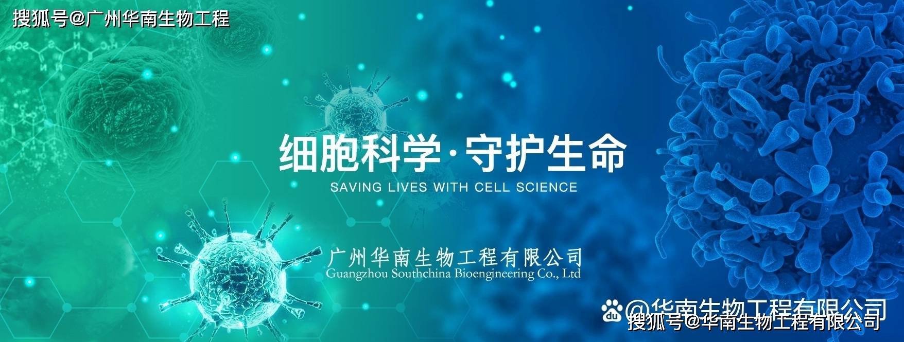 丹(dān)麦ssi中国官网中文(wén)版