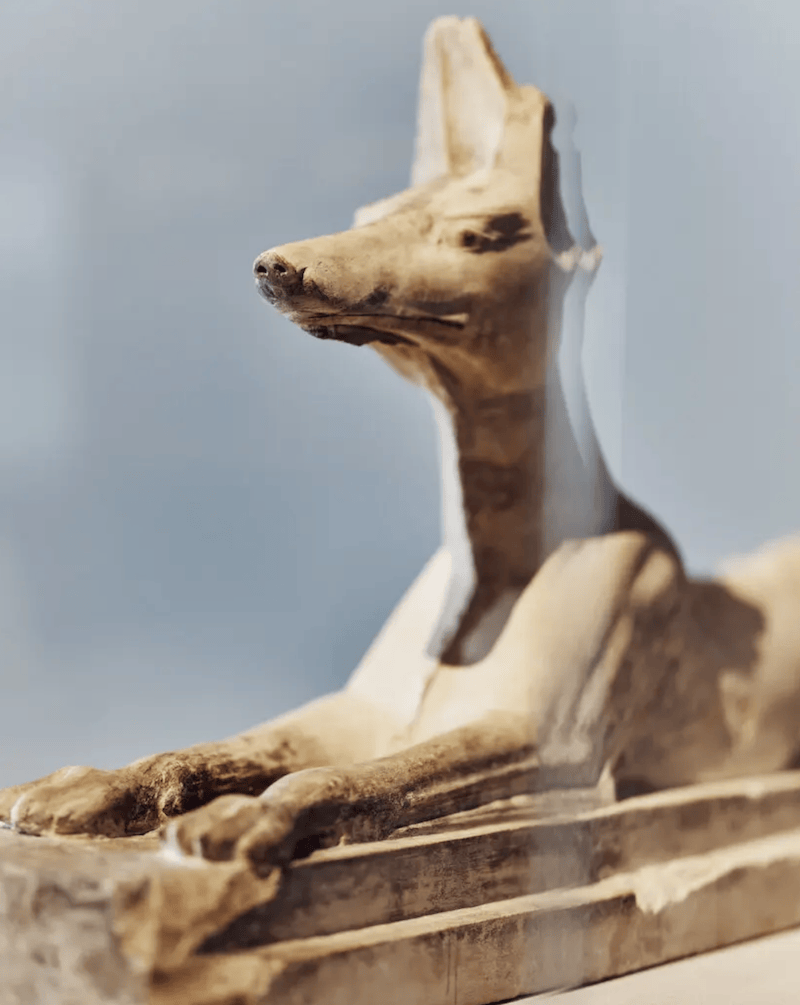 纽约大都会博(bó)物(wù)馆也开了古埃及(jí)大展