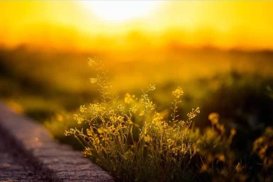 电竞比赛吸引全球(qiú)年轻观众